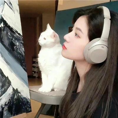 云小姐收手吧江总知错了